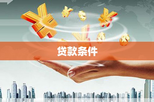 云龙贷款条件