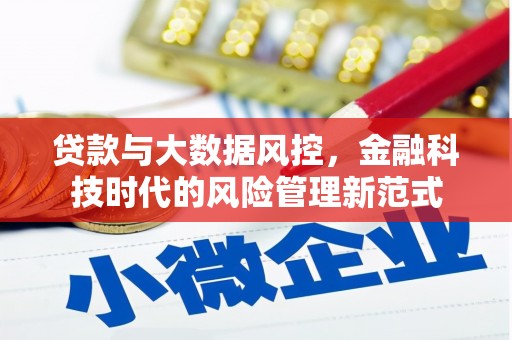 云龙贷款与大数据风控，金融科技时代的风险管理新范式
