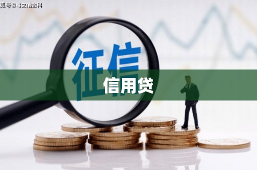云龙信用贷