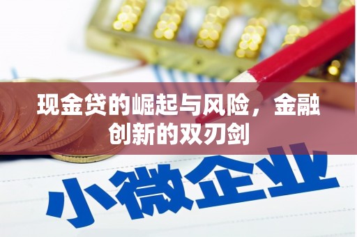云龙现金贷的崛起与风险，金融创新的双刃剑