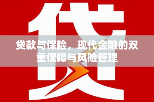 云龙贷款与保险，现代金融的双重保障与风险管理