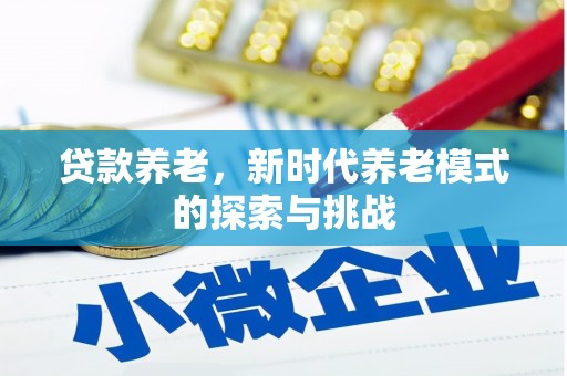 云龙贷款养老，新时代养老模式的探索与挑战