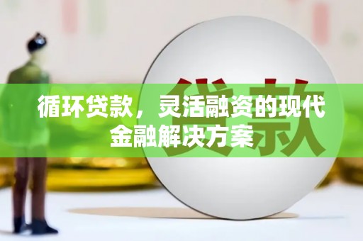 云龙循环贷款，灵活融资的现代金融解决方案