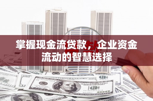 云龙掌握现金流贷款，企业资金流动的智慧选择