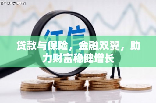 云龙贷款与保险，金融双翼，助力财富稳健增长