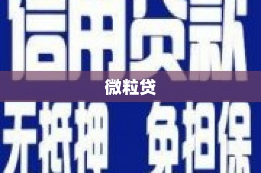 云龙微粒贷