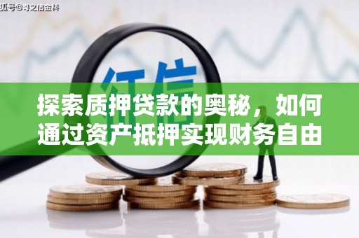 云龙探索质押贷款的奥秘，如何通过资产抵押实现财务自由