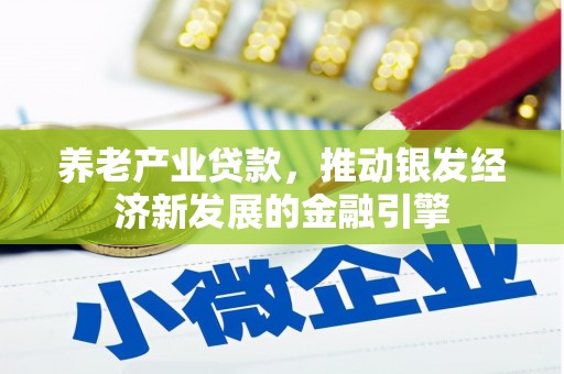 云龙养老产业贷款，推动银发经济新发展的金融引擎