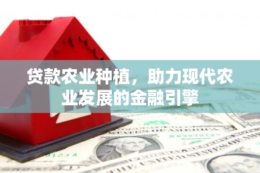 云龙贷款农业种植，助力现代农业发展的金融引擎