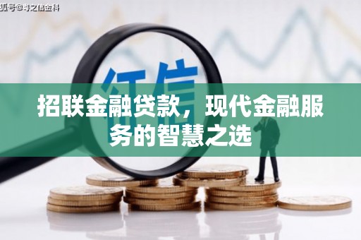云龙招联金融贷款，现代金融服务的智慧之选