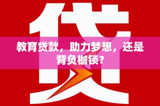 云龙教育贷款，助力梦想，还是背负枷锁？