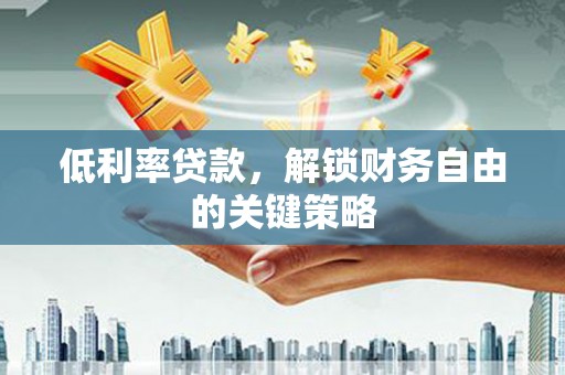 云龙低利率贷款，解锁财务自由的关键策略