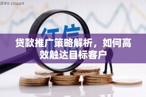 云龙贷款推广策略解析，如何高效触达目标客户