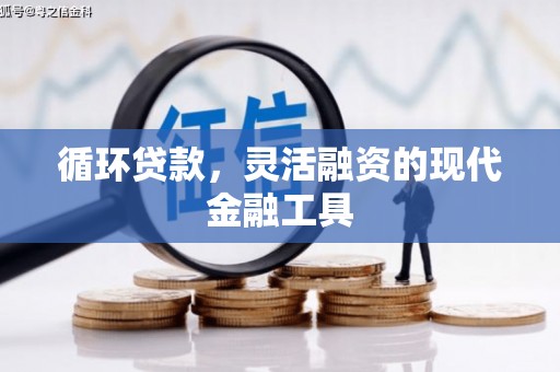云龙循环贷款，灵活融资的现代金融工具
