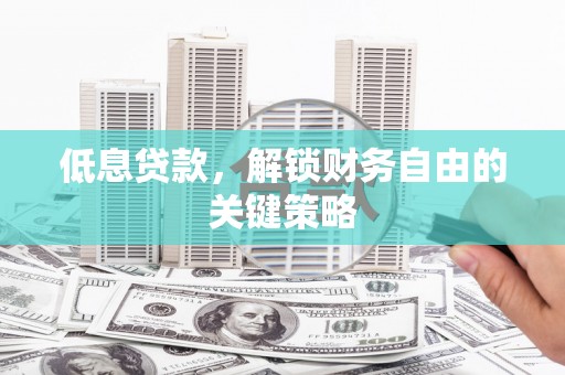 云龙低息贷款，解锁财务自由的关键策略