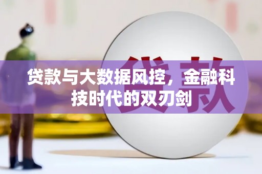 云龙贷款与大数据风控，金融科技时代的双刃剑