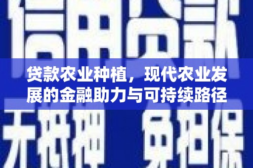 云龙贷款农业种植，现代农业发展的金融助力与可持续路径