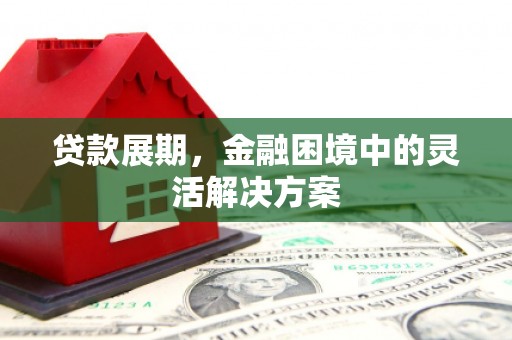 云龙贷款展期，金融困境中的灵活解决方案