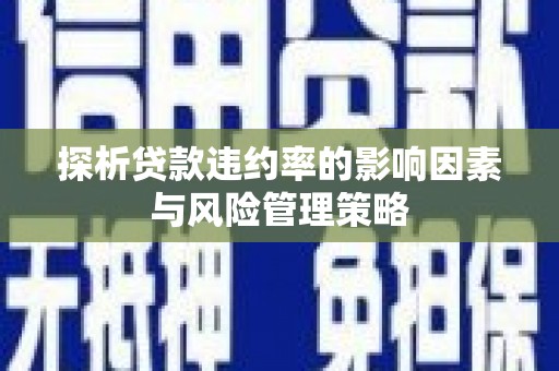 云龙探析贷款违约率的影响因素与风险管理策略