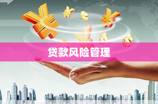 云龙贷款风险管理