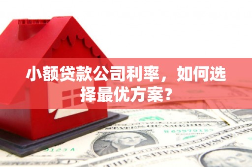 云龙小额贷款公司利率，如何选择最优方案？