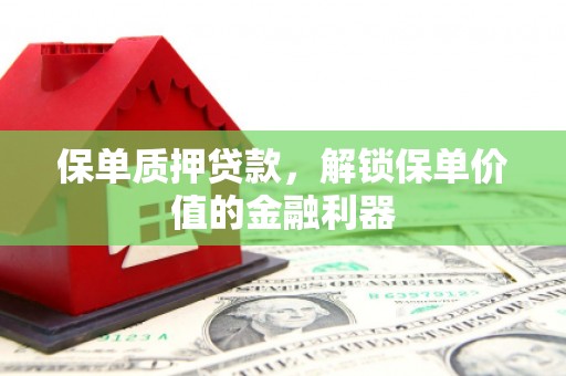 云龙保单质押贷款，解锁保单价值的金融利器