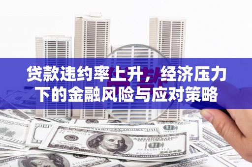 云龙贷款违约率上升，经济压力下的金融风险与应对策略