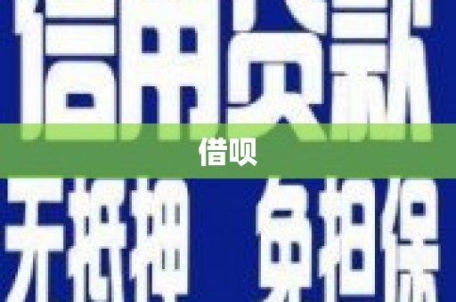 云龙借呗