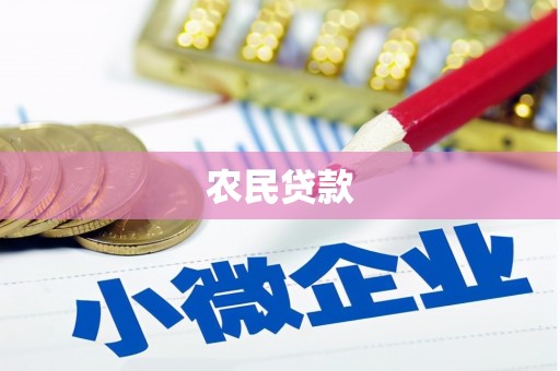 云龙农民贷款