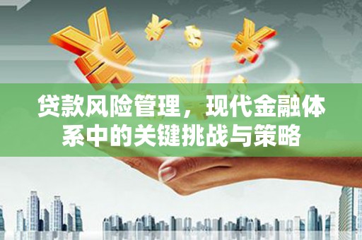云龙贷款风险管理，现代金融体系中的关键挑战与策略