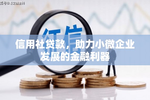 云龙信用社贷款，助力小微企业发展的金融利器