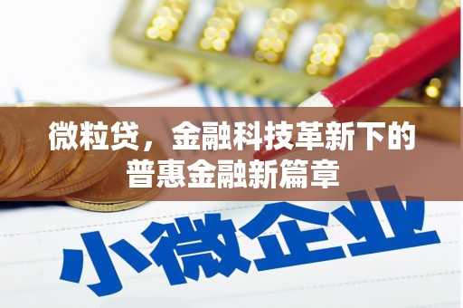 云龙微粒贷，金融科技革新下的普惠金融新篇章