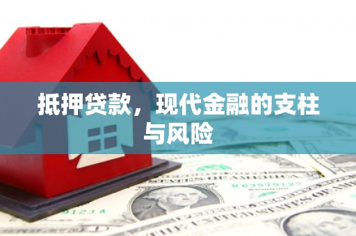 云龙抵押贷款，现代金融的支柱与风险