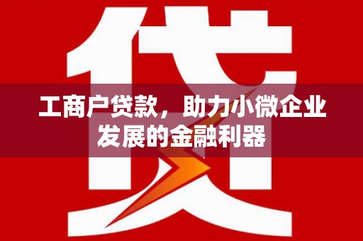 云龙工商户贷款，助力小微企业发展的金融利器
