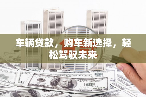 云龙车辆贷款，购车新选择，轻松驾驭未来