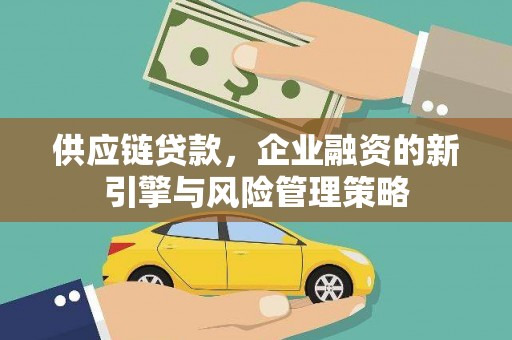 云龙供应链贷款，企业融资的新引擎与风险管理策略
