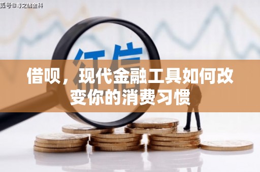 云龙借呗，现代金融工具如何改变你的消费习惯
