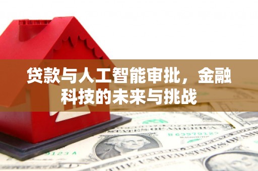 云龙贷款与人工智能审批，金融科技的未来与挑战