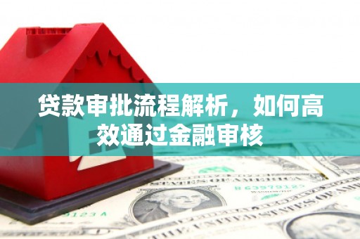 云龙贷款审批流程解析，如何高效通过金融审核