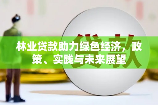 云龙林业贷款助力绿色经济，政策、实践与未来展望