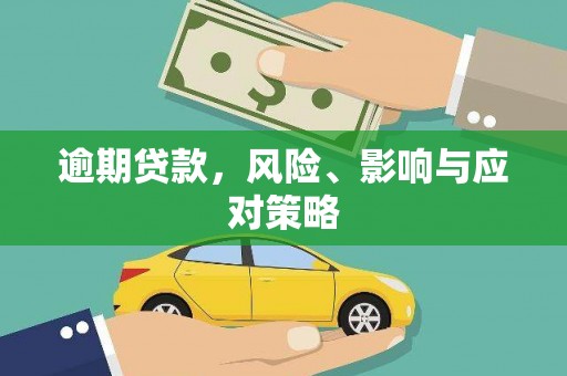 云龙逾期贷款，风险、影响与应对策略