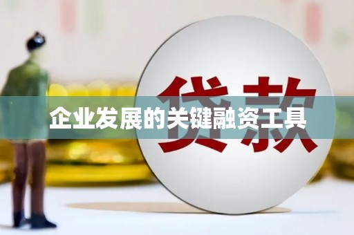 云龙企业发展的关键融资工具