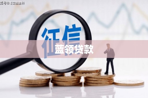 云龙蓝领贷款