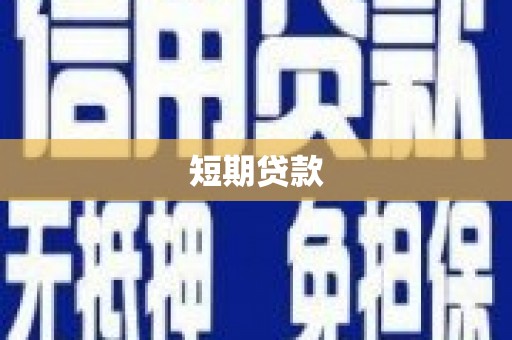 云龙短期贷款