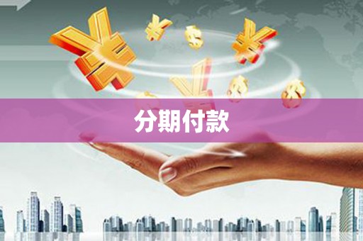 云龙分期付款