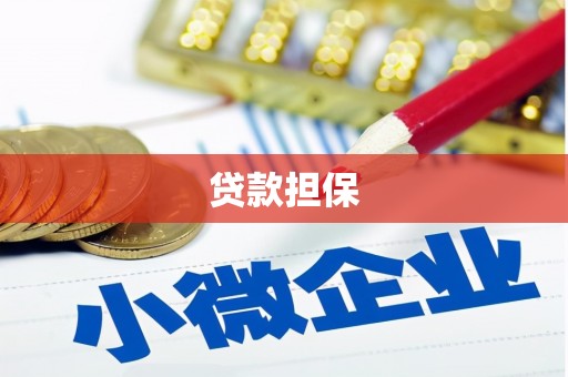 云龙贷款担保