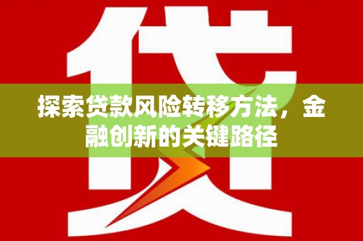 云龙探索贷款风险转移方法，金融创新的关键路径