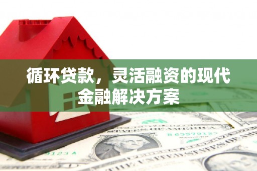 云龙循环贷款，灵活融资的现代金融解决方案