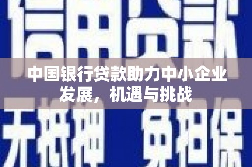 云龙中国银行贷款助力中小企业发展，机遇与挑战