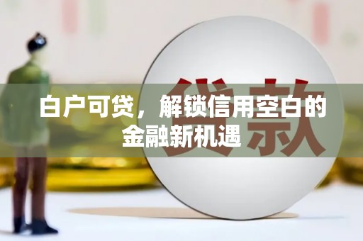 云龙白户可贷，解锁信用空白的金融新机遇